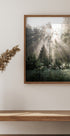 Sunrays in The Woods Sunshine Forest Poster - Posterbox.no