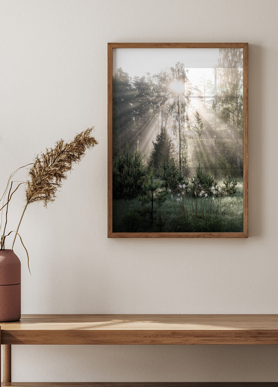 Sunrays in The Woods Sunshine Forest Poster - Posterbox.no