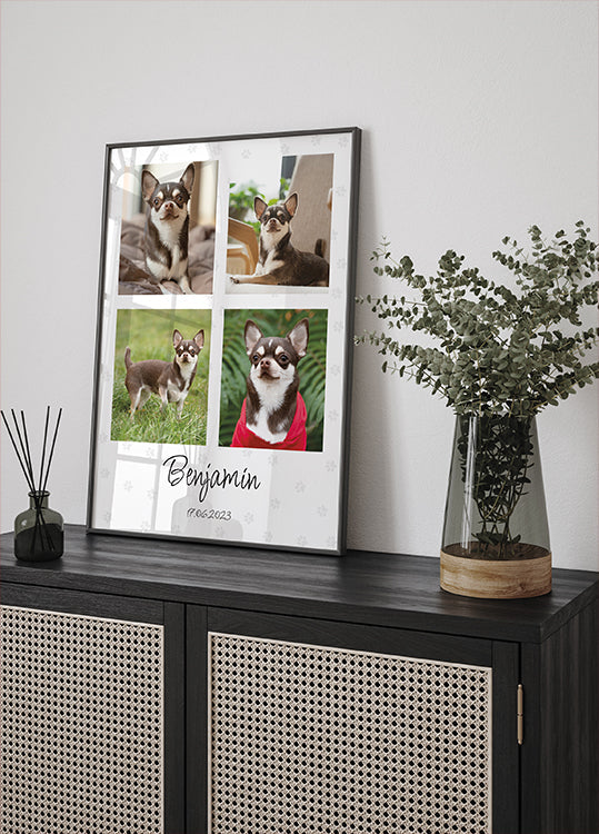 Pet Photo Collage Personal - Posterbox