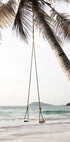Palm Tree With Swing Poster - Posterbox.no