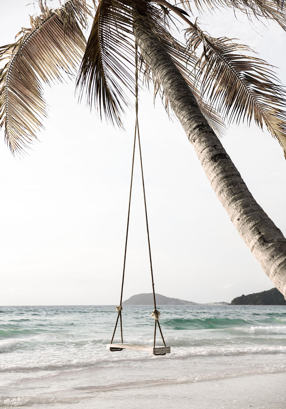 Palm Tree With Swing Poster - Posterbox.no