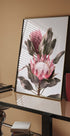 Protea Flowers Poster - Posterbox.no