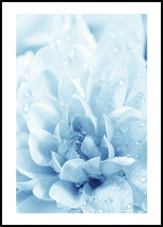 Blue Flowers Poster - Posterbox.no