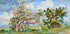 Acacia is blooming (NEW) - Posterbox