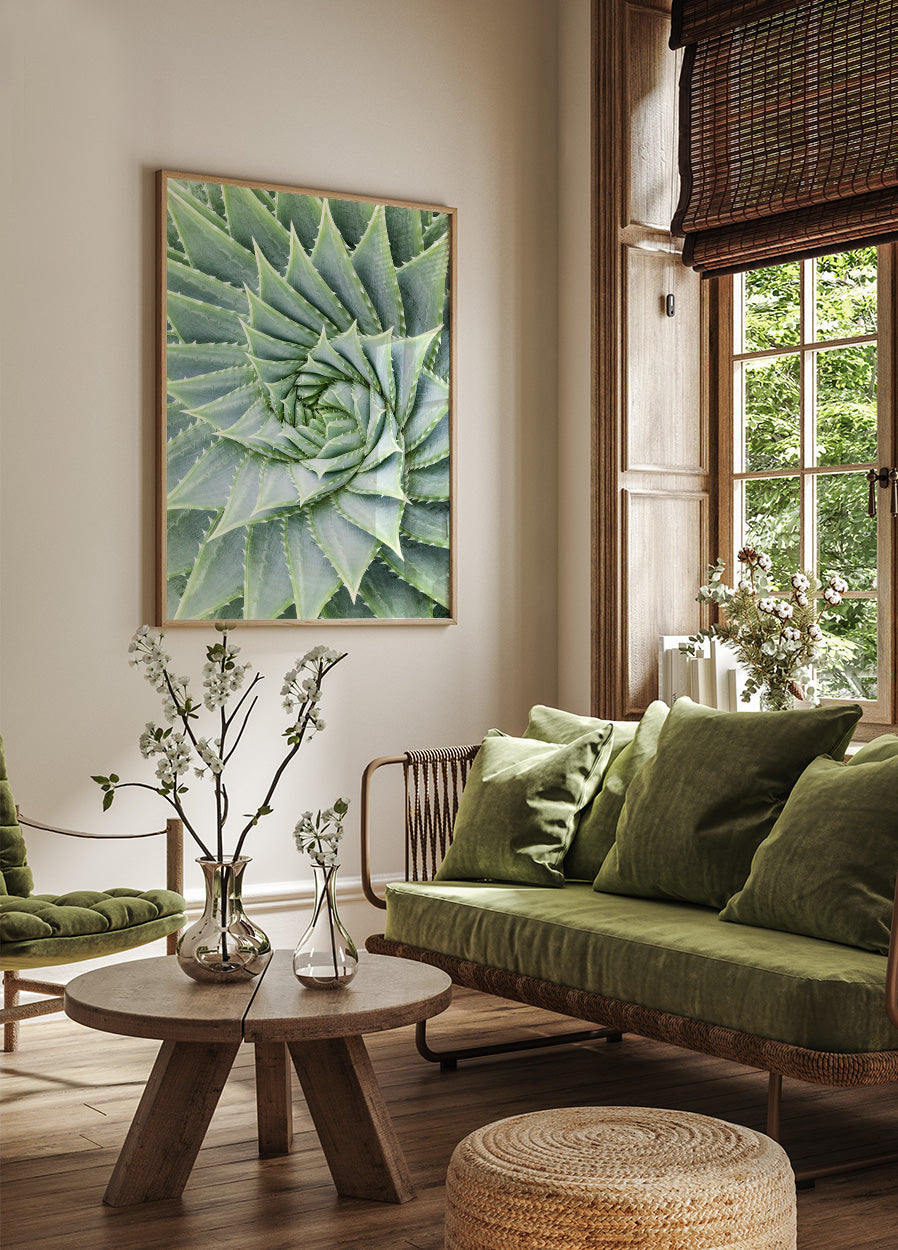 Aloe Vera Plant Poster - Posterbox.no