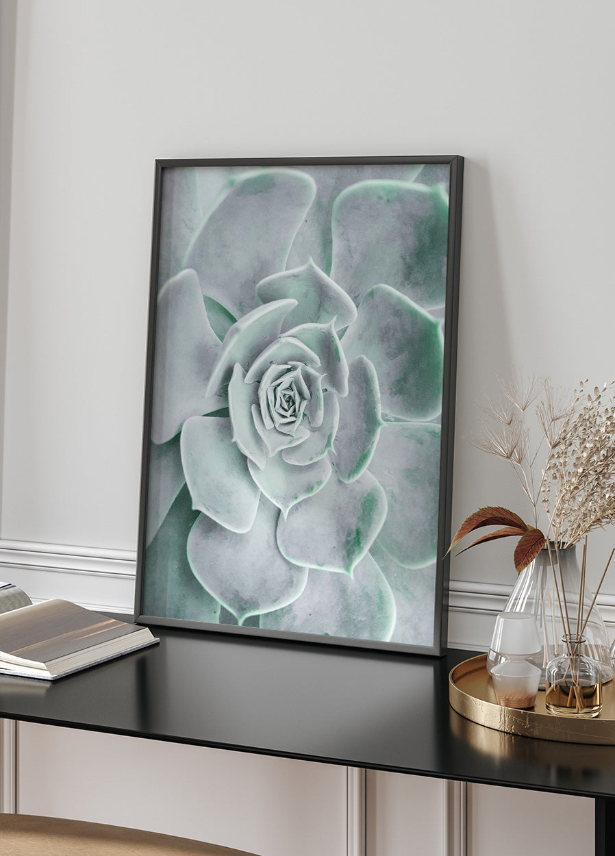 Flower Cactus Succulent Poster - Posterbox.no