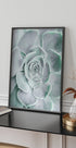 Flower Cactus Succulent Poster - Posterbox.no
