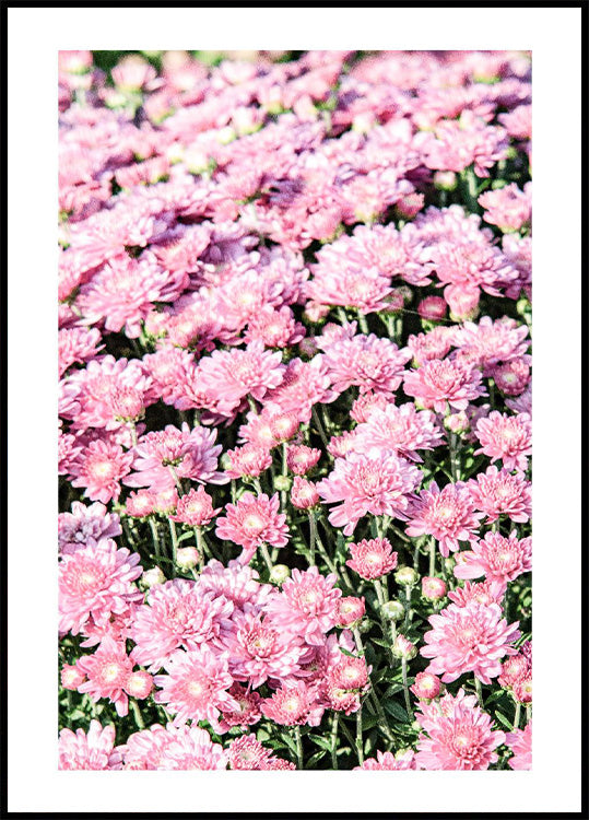 Pink Mums Poster - Posterbox.no