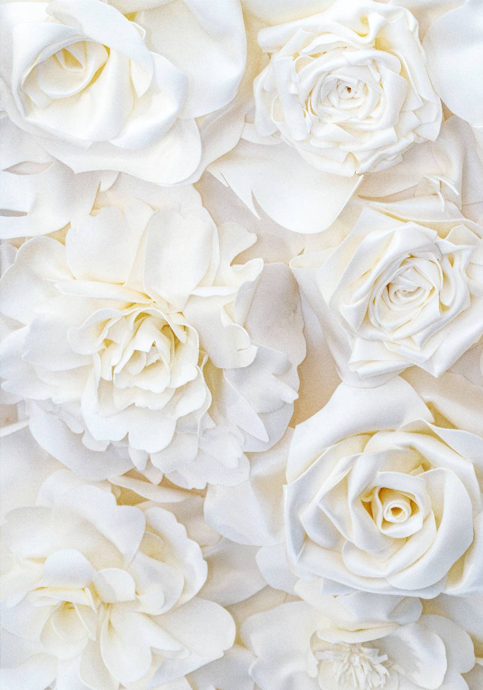 White Rose Buds Poster - Posterbox.no