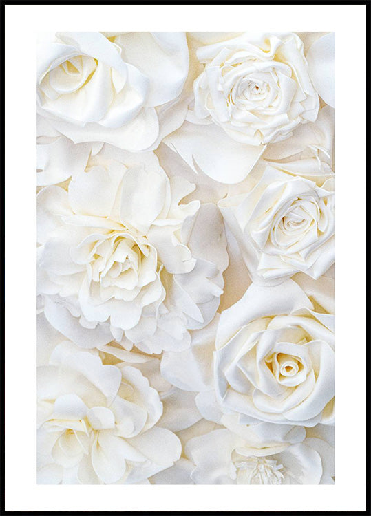 White Rose Buds Poster - Posterbox.no