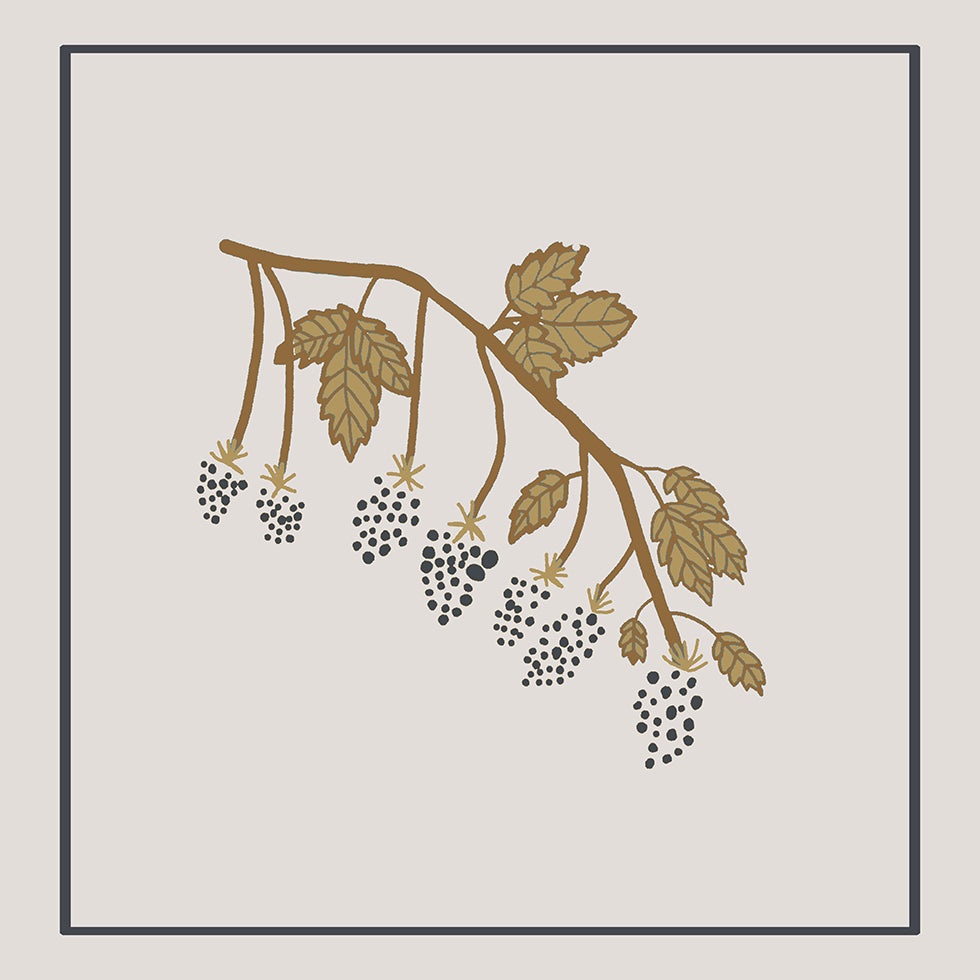 Blackberry Spring (NEW) - Posterbox