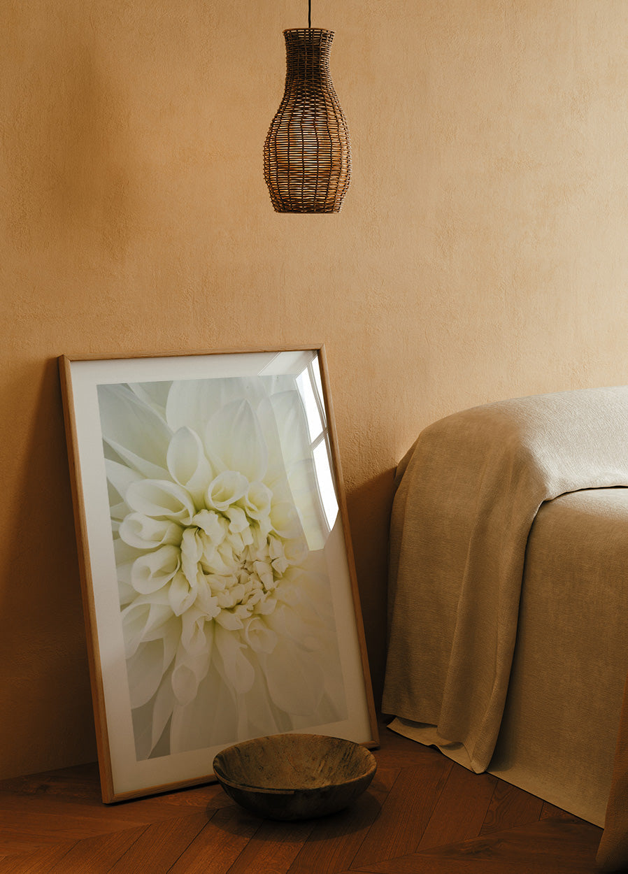White Dahlia Poster - Posterbox.no