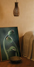 Tulip Buds Poster - Posterbox.no