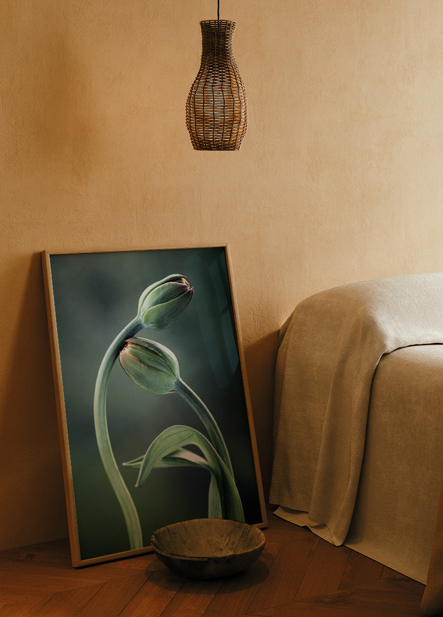 Tulip Buds Poster - Posterbox.no