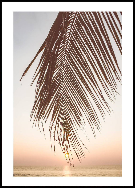 Sunset Palm Leaf Poster - Posterbox.no