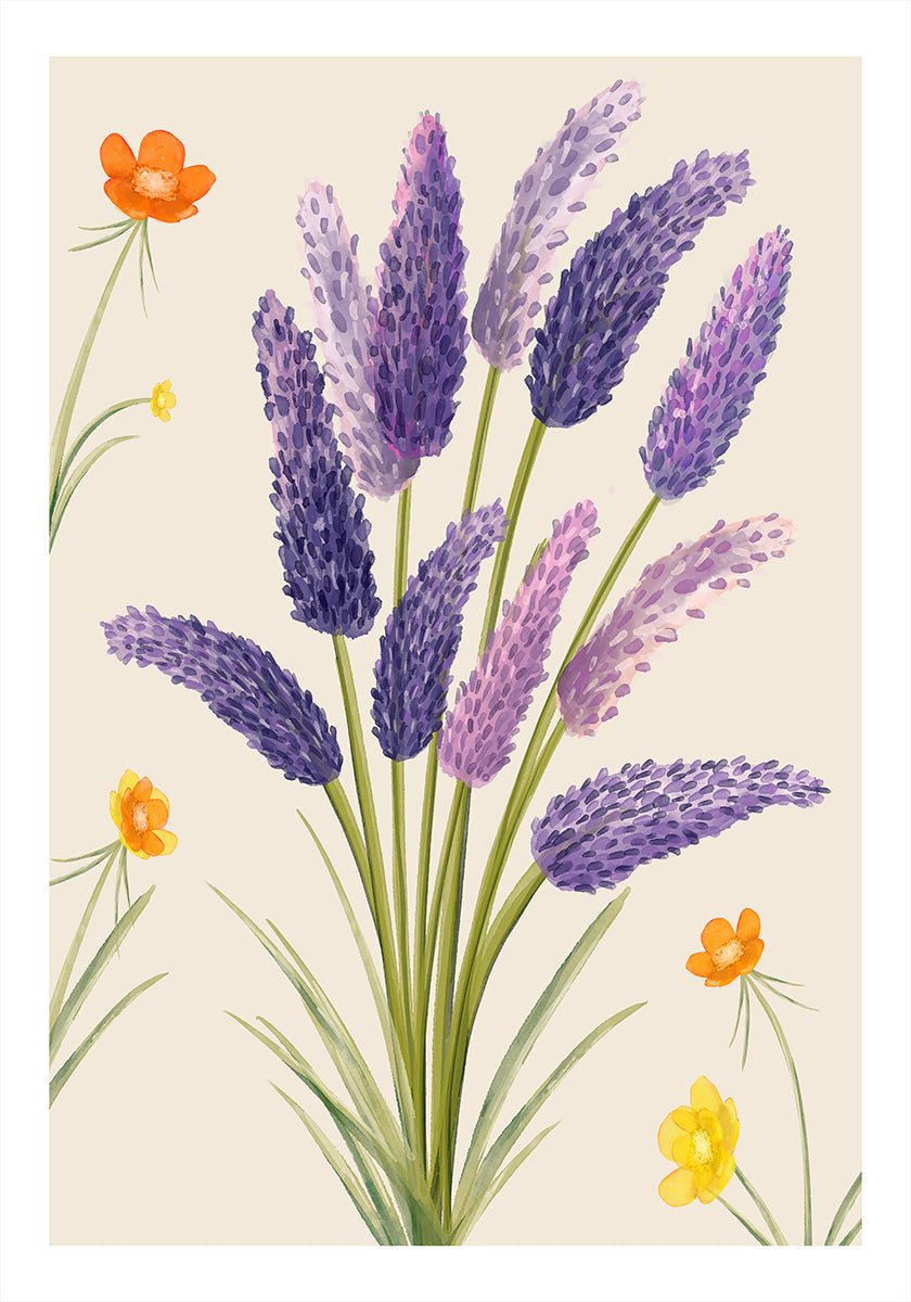 Lavender Dreams (NEW) - Posterbox