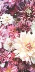 Flowers in Pink Poster - Posterbox.no