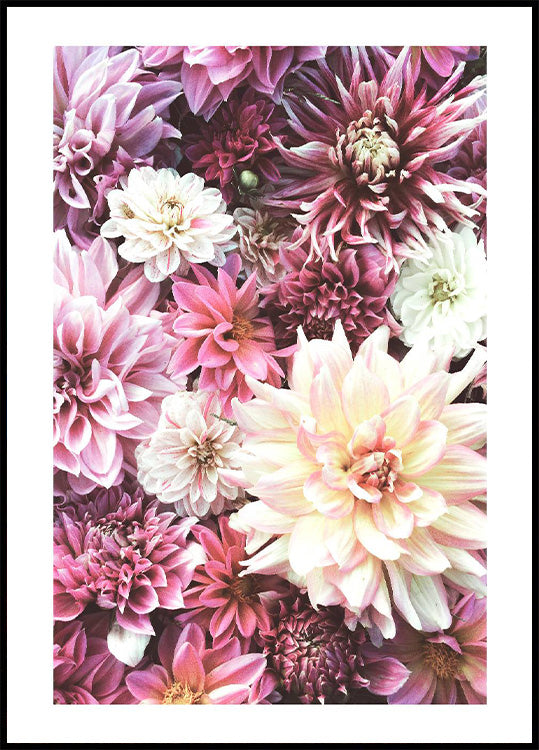 Flowers in Pink Poster - Posterbox.no