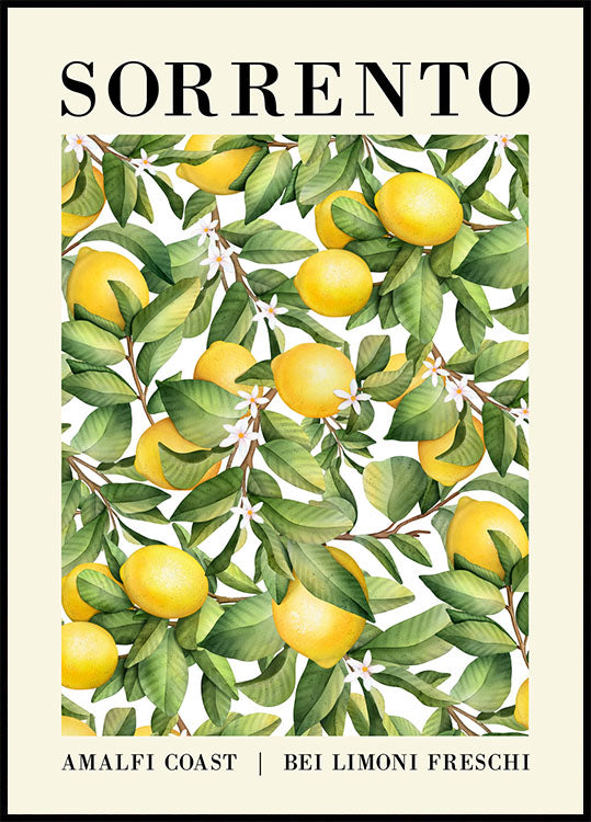 Sorrento Lemon Poster - Posterbox.no