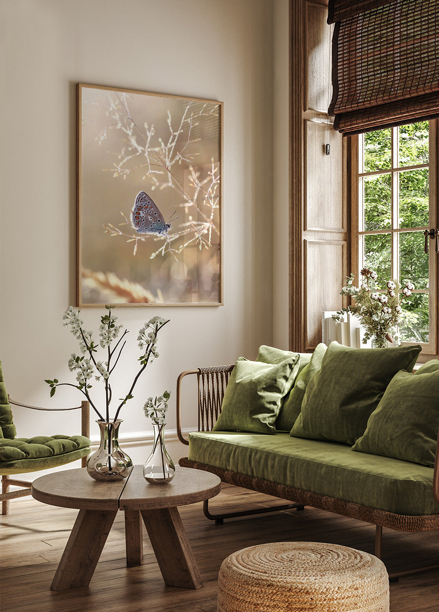 Icarus Butterfly On Sunshine Poster - Posterbox.no