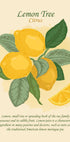 a poster with lemons and leaves on it