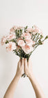 Carnation Flowers Bouquet Poster - Posterbox.no