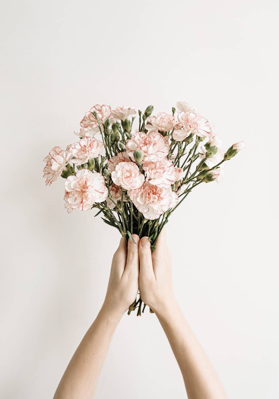 Carnation Flowers Bouquet Poster - Posterbox.no