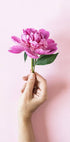 Holding Pink Peony Flower Poster - Posterbox.no