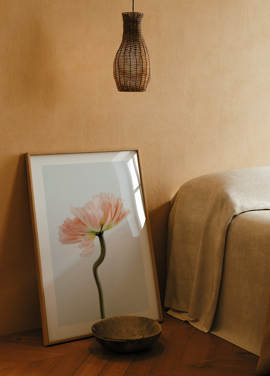 Peachy Poppy Flower Poster - Posterbox.no