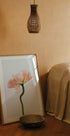 Peachy Poppy Flower Poster - Posterbox.no