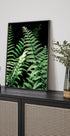 Forest Ferns Poster - Posterbox.no