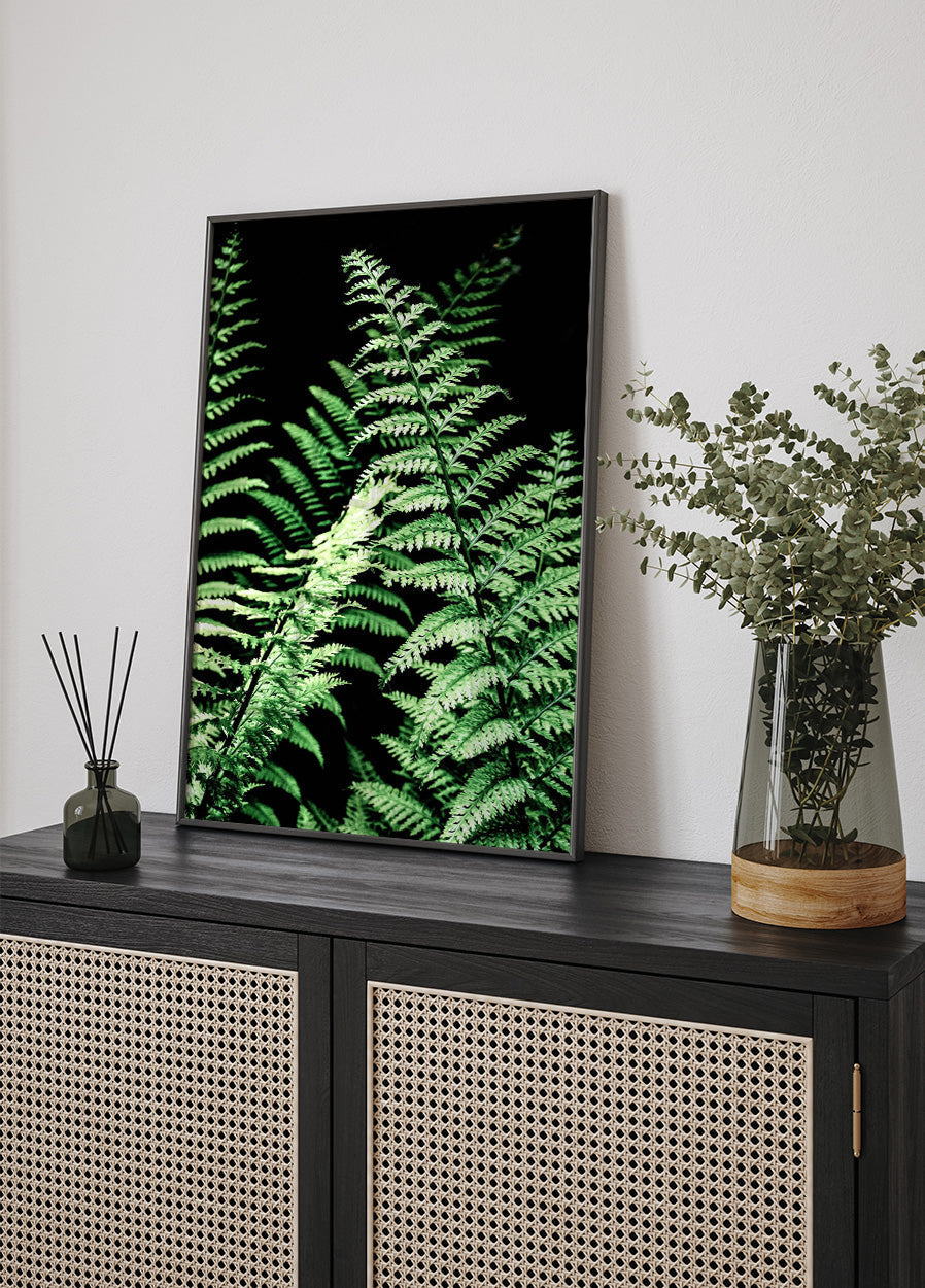 Forest Ferns Poster - Posterbox.no