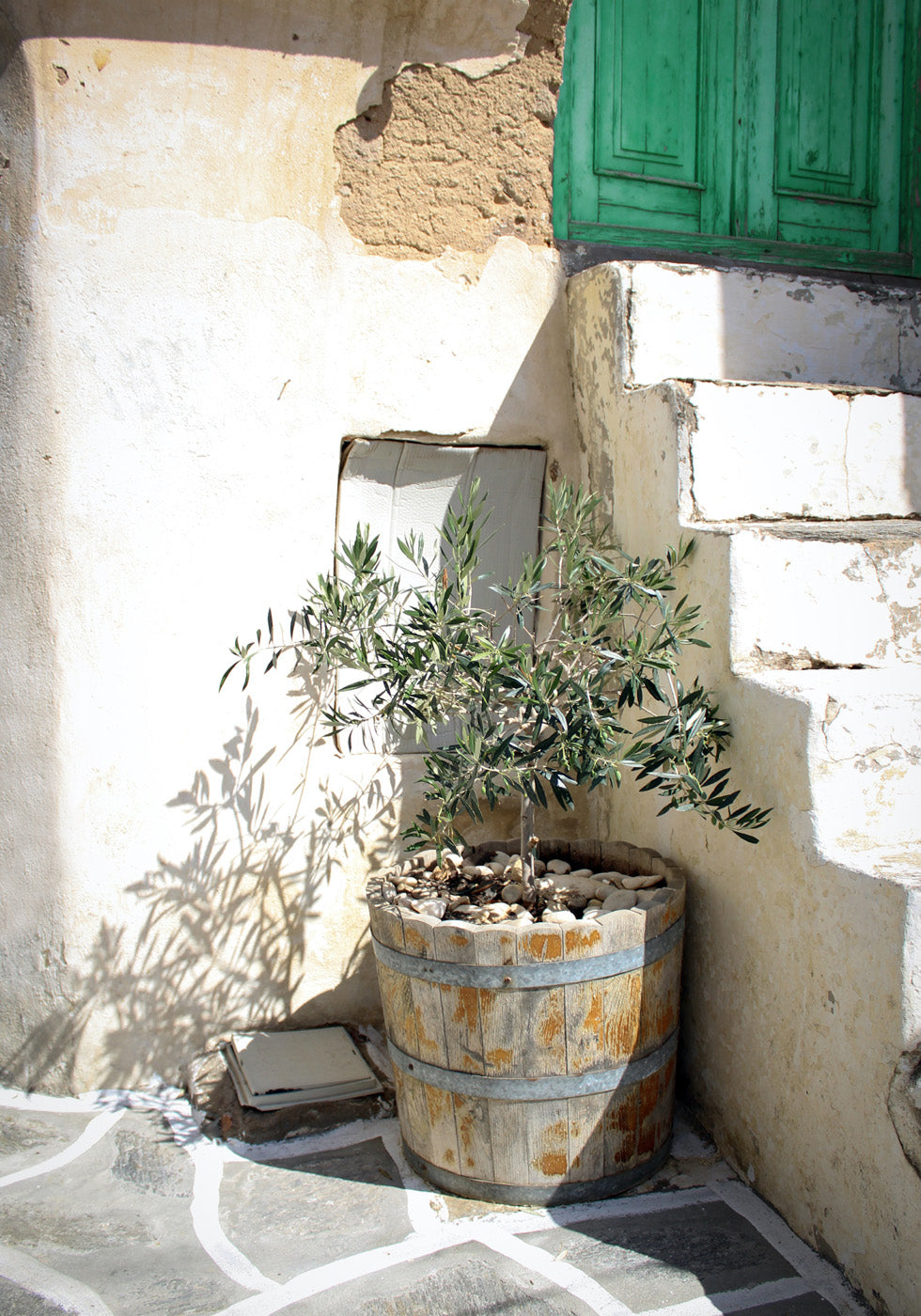 Olive Tree Entrance Poster - Posterbox.no