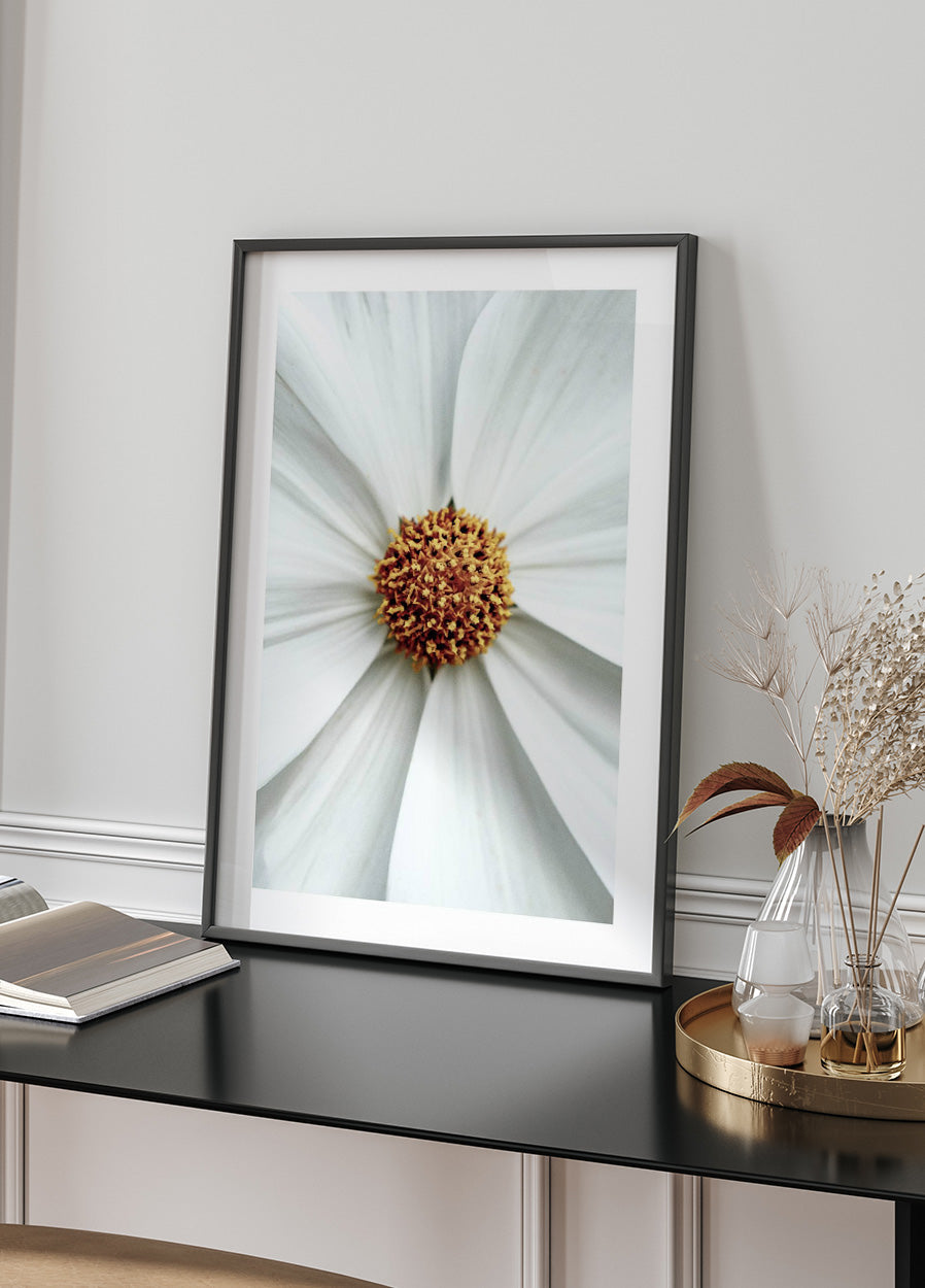 Daisy Close-Up Flower Poster - Posterbox.no
