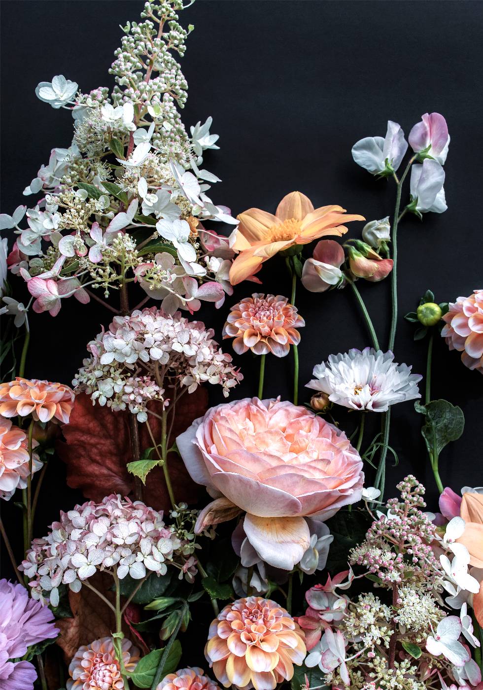 Sea of ​​Flowers Poster - Posterbox.no