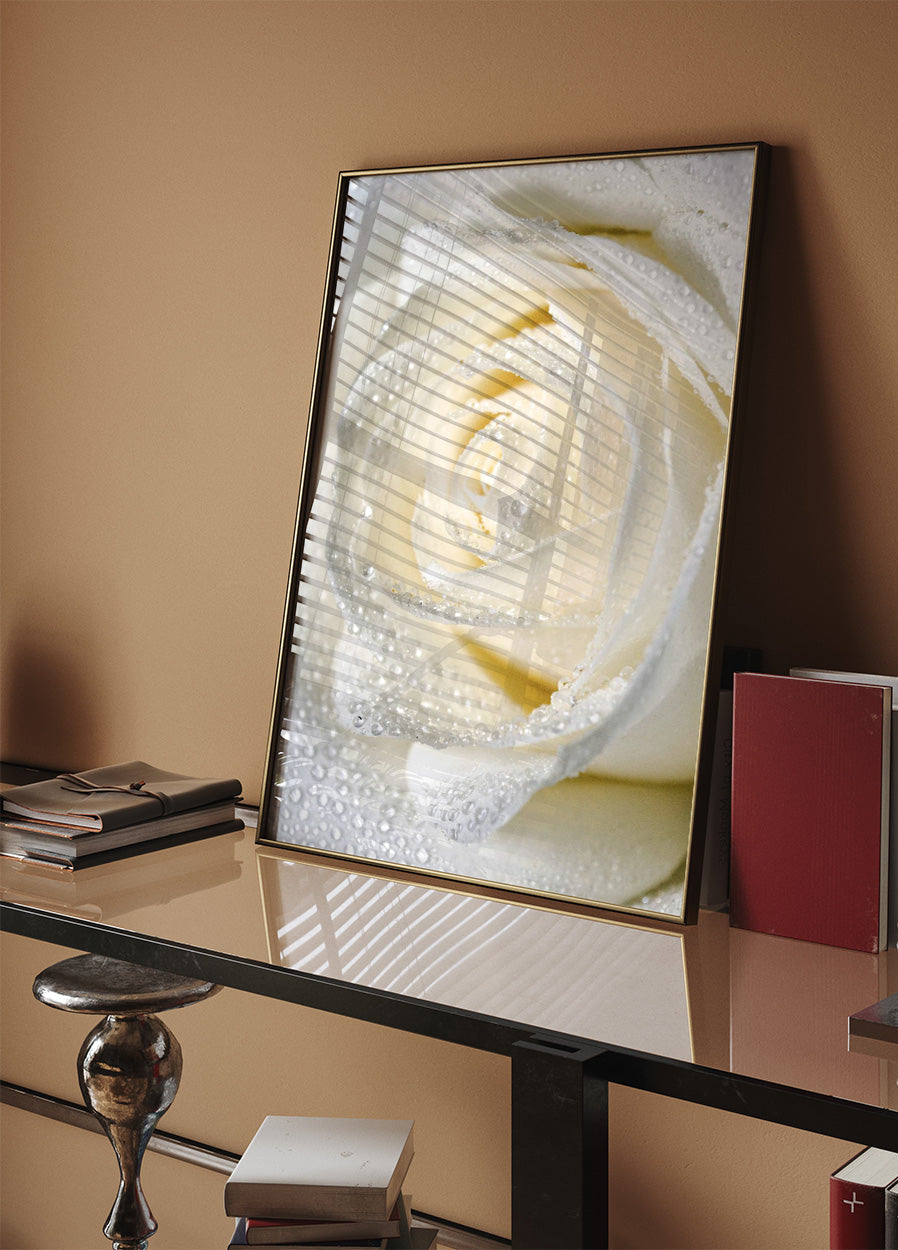 Rose Dew Poster - Posterbox.no