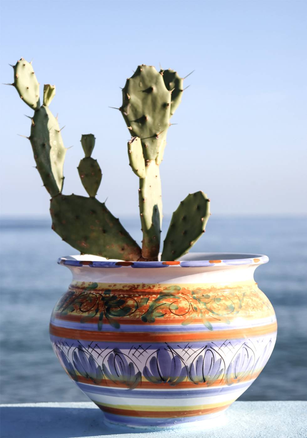 Succulent Vase Seaside Poster - Posterbox.no