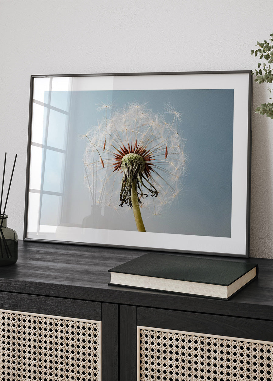 Dandelion Seeds On Wind Poster - Posterbox.no
