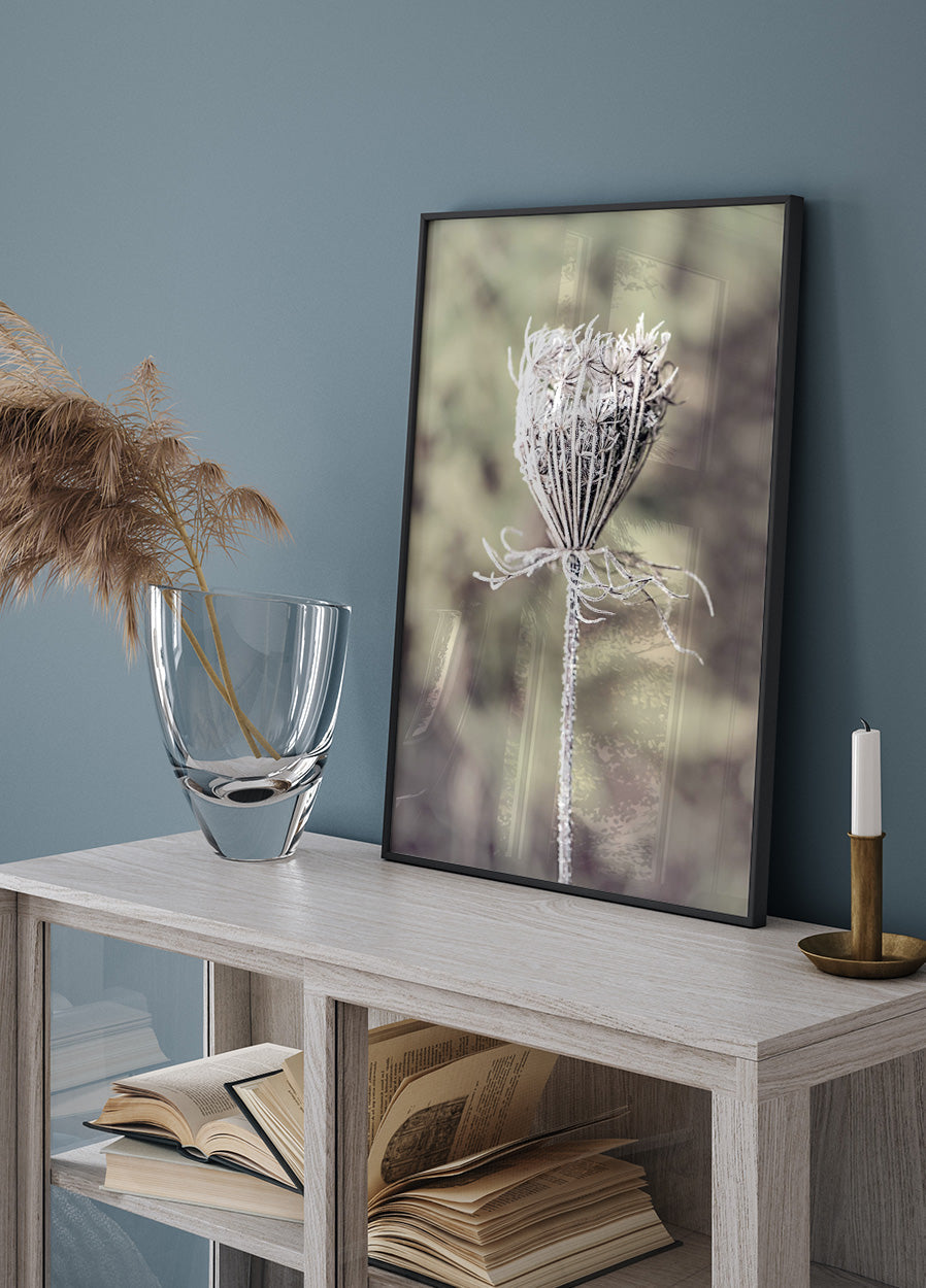 Frozen Laceflower Poster - Posterbox.no