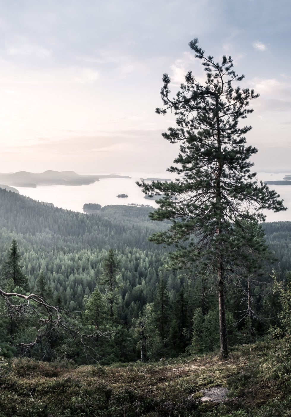 Nature Landscape Poster - Posterbox.no