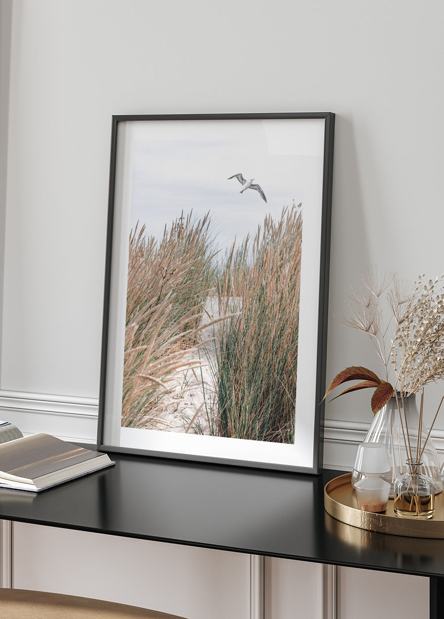Seagull & Beach Grass Poster - Posterbox.no
