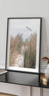 Seagull & Beach Grass Poster - Posterbox.no