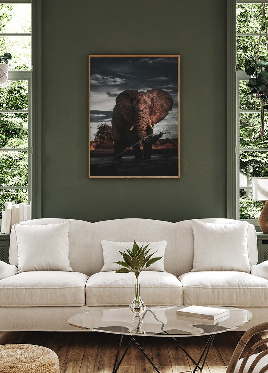 African Elephant Poster - Posterbox.dk