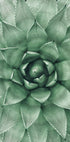 Green Succulent Plant Design Poster - Posterbox.dk