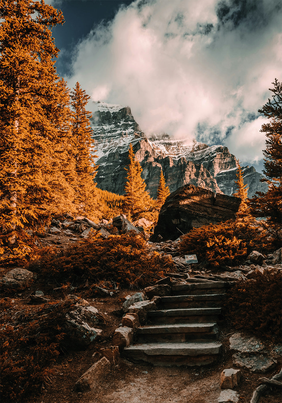 Autumn Wilderness Poster - Posterbox.dk