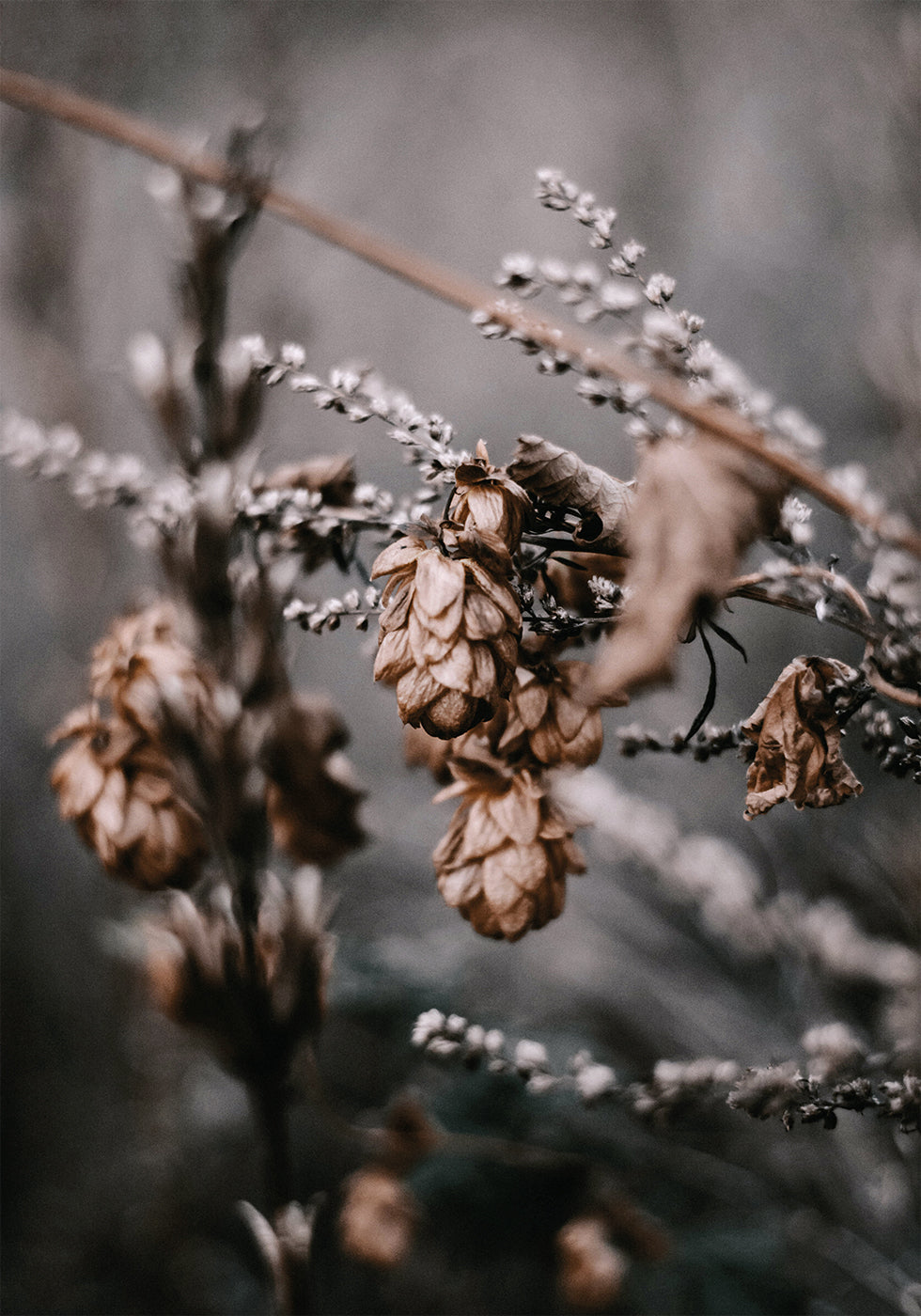 Autumn Arrival Poster - Posterbox.dk