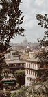 View of Rome with St. Peter's Basilica Poster - Posterbox.dk