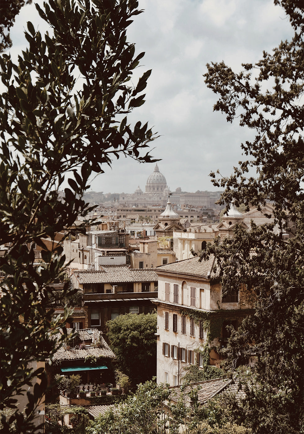 View of Rome with St. Peter's Basilica Poster - Posterbox.dk