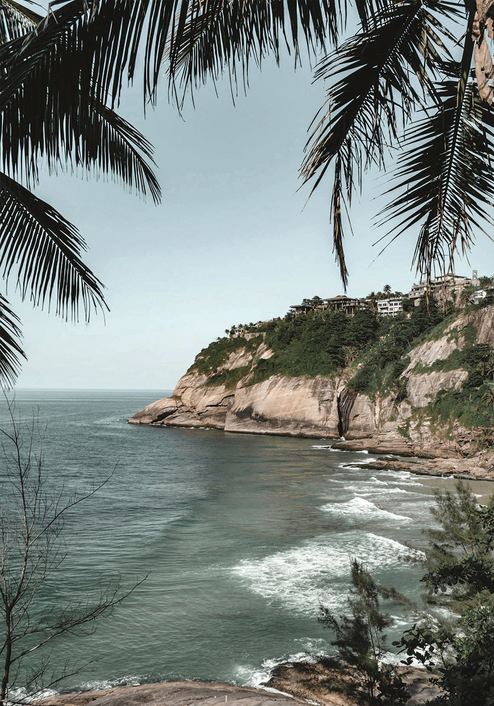 Between Palm Leaves Poster - Posterbox.dk