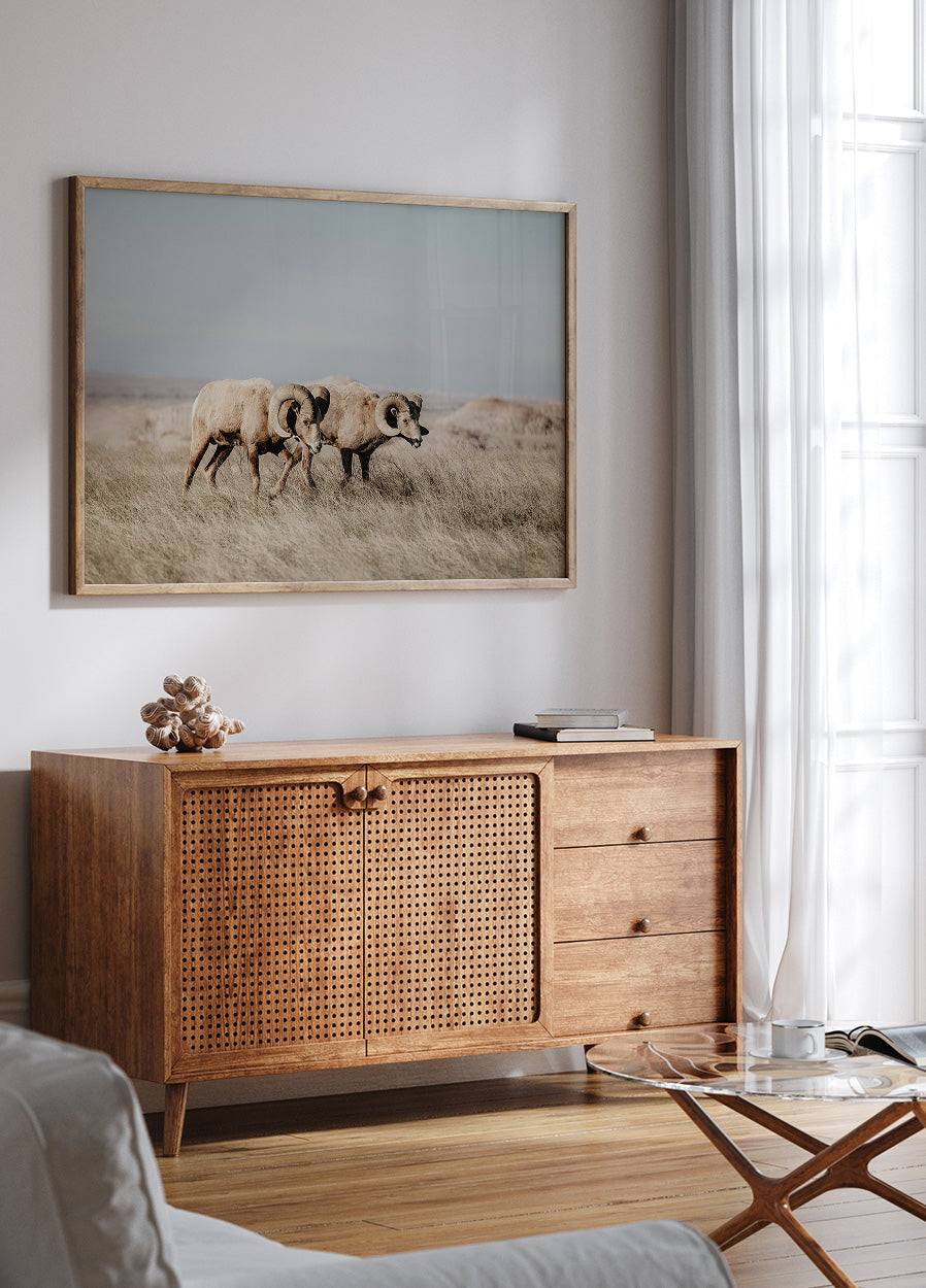 Bighorn Sheep in Field Poster - Posterbox.dk